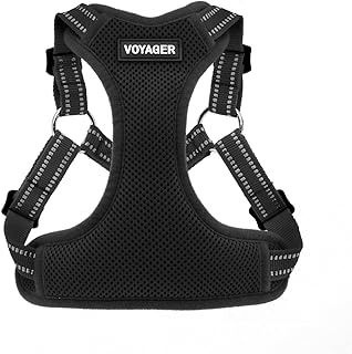 Voyager Verstellbares Hundegeschirr mit Reflektorstreifen by Best Pet Supplies – Strapazierfähig…