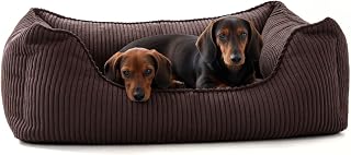 Anton Hundebett | Orthopädisches Hundebett | Hundekörbchen für kleine und mittelgroße Hunde (…