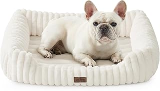 COZY KISS Orthopädisches Hundebett Kleine Hunde, Waschbare Katzenbett Beige | Hundesofa mit eier…