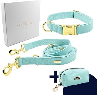 Paris | Hundehalsband Set mit Leine & Beutelspender | Veganes Leder | Hunde Halsbänder, Hundehal…