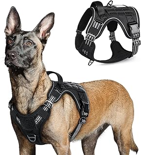 rabbitgoo Hundegeschirr Grosse Hunde Anti-Zug, L, Schwarz | MOLLE-System, Heavy Duty, Sicherheits…