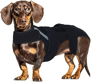 IVDD Rückenbandage für Kleine Hunde, Rückenstützweste mit Lendenwirbelstütze, Hund Rückenpr…