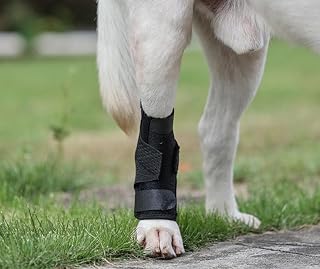 Naapesi Sprunggelenkbandage für Hunde, Leckschutz für Hinterbeine und Vorderbeine, Elastische H…