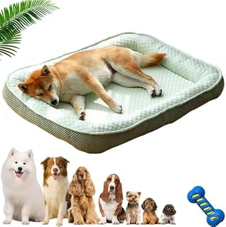 Premium Kühlkörbchen für den Sommer – Kühlendes Hundebett selbstkühlend mit 3D-Mesh-kühlm…