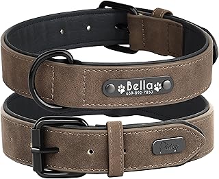 Didog Hundehalsband, weiches, gepolstertes, Leder, mit personalisierbarem, graviertem Namensschil…