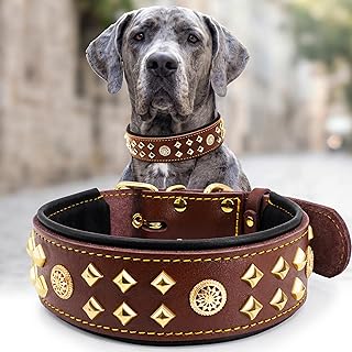 EliteGuard Hundehalsband Leder, 5,6 cm Breit, Braun-Gold, S | Robustes Echtes Lederhalsband, Mit …