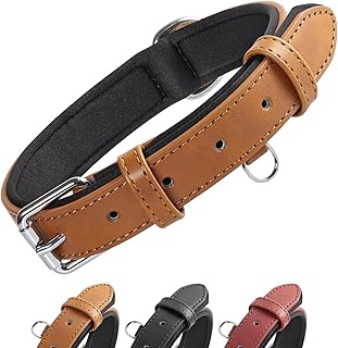 Grand Line Leder Hundehalsband, Lederhalsband Hund mit Weichem Gepolstertes, Breiter und Dicker H…