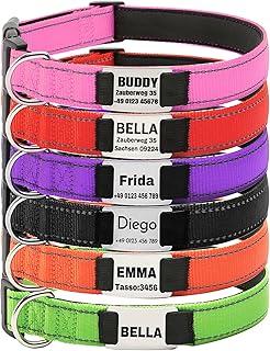 Hundehalsband, Reflektierend Halsband aus Nylon mit Weichem Neopren Polsterung einstellbar Hundeh…