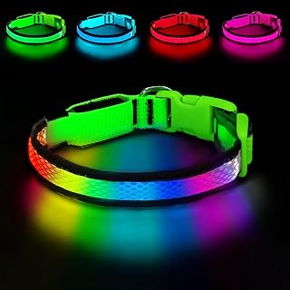 LED-Hundehalsband, beleuchtetes Hundehalsband USB wiederaufladbar, Nylon verstellbar bequem weich…