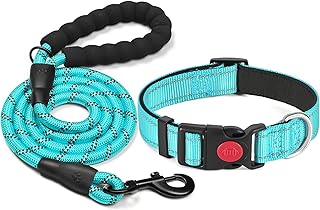 haapaw reflektierendes Hundehalsband gepolstert mit weichem Neopren atmungsaktiv einstellbar Nylo…