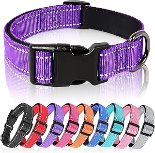 HEELE Hundehalsband, Hundehalsband aus Nylon, Reflektierend Halsband Hund mit Weich Neopren Gepol…
