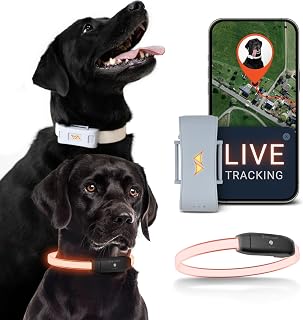 PAJ GPS – LED Leuchthalsband + GPS Tracker für Hunde, doppelte Sicherheit, weltweite Live-Ortung…