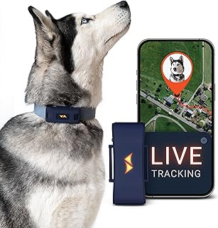 GPS Tracker für Hunde 4G -inkl. 3 Monate Premium ABO- weltweite Live-Ortung | Hunderückruf – bi…