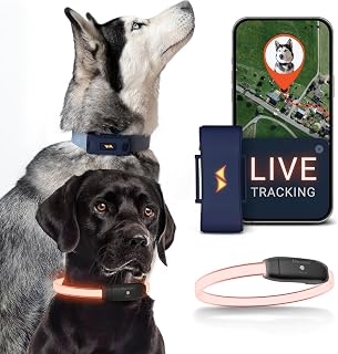 PAJ GPS – LED Leuchthalsband + GPS Tracker für Hunde, doppelte Sicherheit, weltweite Live-Ortung…