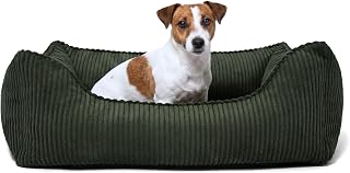 Anton Hundebett | Orthopädisches Hundebett | Hundekörbchen für kleine und mittelgroße Hunde (…