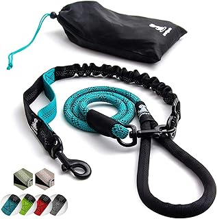 Hundeleine mit Bungee Verlängerung für Große und Mittelgroße Hunde mit Ruckdämpfer | Reflekt…