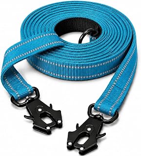 Lina Pet Hundeleine 3m x 2,5 cm, Verstellbare Doppelleine aus Nylon mit Aluminium-Karabiner, Füh…