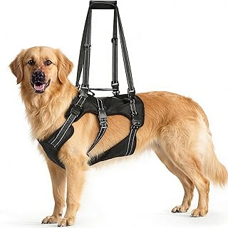 BENCMATE 2-in-1 Hundegeschirr mit Hebehilfe – Profi Hebegeschirr für alte Hunde & Reha nach OP -…