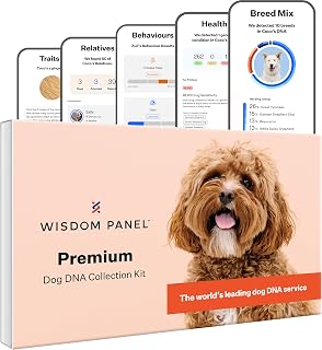Wisdom Panel Premium – Dog DNA Test for Umfassende Gesundheit, Eigenschaften und Vorfahren 75g