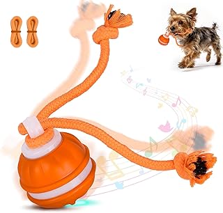 Interaktives Hundespielzeug, 3 Modi & Leistungsstarker Motor, Zufällige Bewegung & Schwingendes …