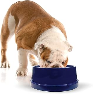 K&H 772550 Pet, kühlender Trinknapf für Hunde und Katzen – 2,7 Liter