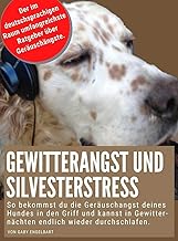 Gewitterangst und Silvesterstress: So kannst du die Geräuschangst deines Hundes erfolgreich in d…