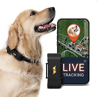 PAJ GPS Tracker für Hunde – 4G – Weglaufalarme + weltweite Live-Ortung – bis zu 10 Tage Akkuspar…